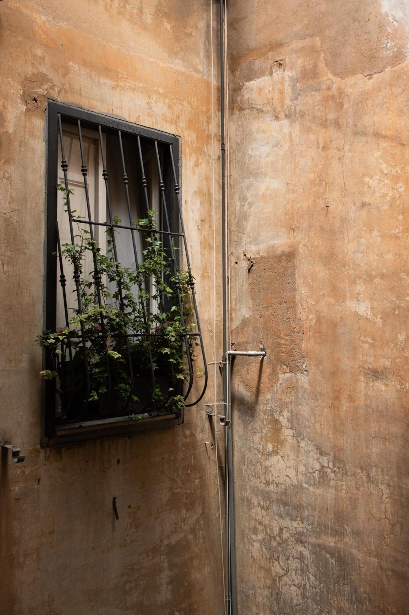 Colosseum View Accomodation Rzym Zewnętrze zdjęcie